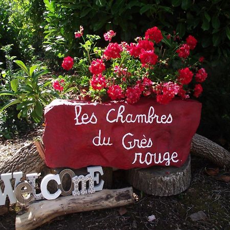 Chambres Du Gres Rouge De Beauval Εξωτερικό φωτογραφία